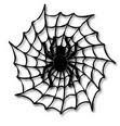 Spiderweb