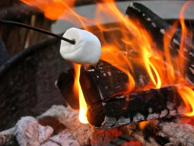 5a21eb020a6cd_roastingmarshmallow.thumb.jpg.71b7acf1a169b5333b4d0a0ee3d8d751.jpg