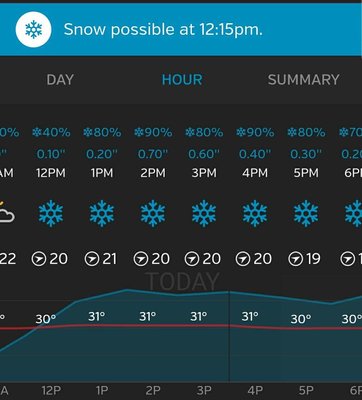 Screenshot_20171210-085905.jpg