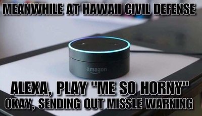 Hawaii Alexa.jpg