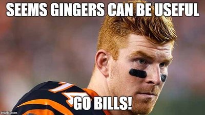 Ginger.jpg