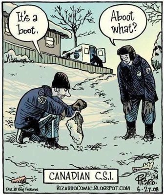 Canadian csi.jpg