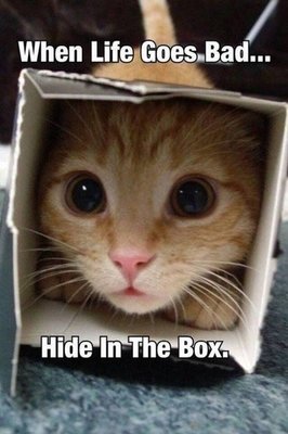When life goes bad hide in the box.jpg