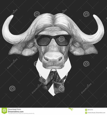 portrait-buffalo-suit-hand-drawn-illustration-88912515.jpg