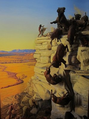 buffalo-jump-4[14].jpg