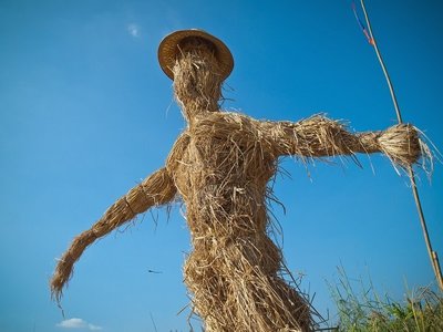 StrawMan2.thumb.jpg.eb7f249aa82ebdc524e9baece1039de8.jpg