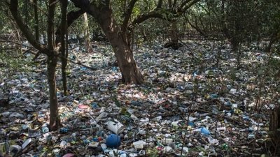 Brazil's trash.jpg
