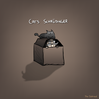 cats_schrodinger.thumb.png.803c8039632baec04e0c5121a4f44f3b.png