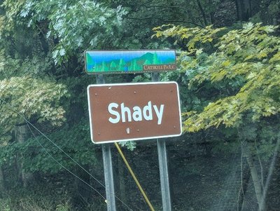 shadycatskills.jpg