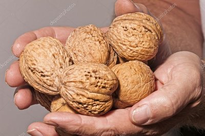 depositphotos_7249127-stock-photo-the-hands-hold-big-walnuts.jpg