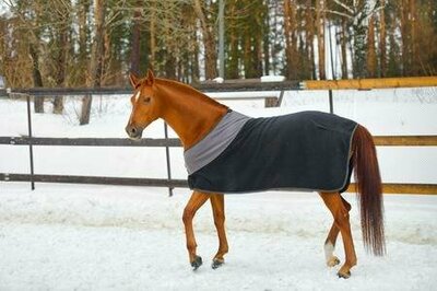 horse blanket.jpg
