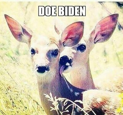 doe biden.jpg