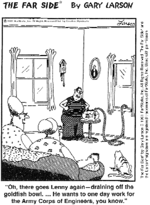 USACE_FishBowlSiphoning_TheFarSide.thumb.gif.c3f851dff4b139f62c912458161572c2.gif