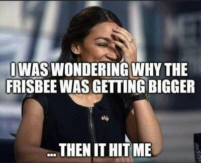 aoc3.jpg