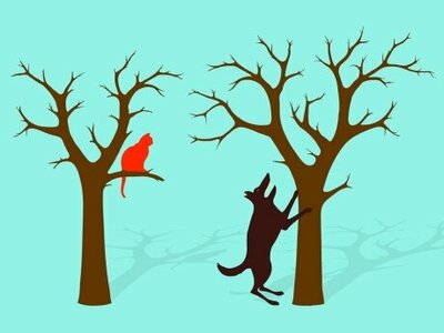 barking-up-the-wrong-tree.jpg