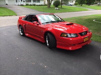 2002 Mustang Roush Stage I for Sale.JPG