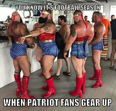 patriot fans.jpg