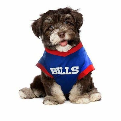 officially-licensed-nfl-pet-performance-tee-d-00010101000000_8518248w.jpg