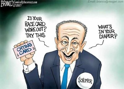 schumer1.jpg