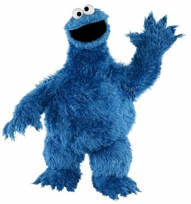 cookie monster.jpg