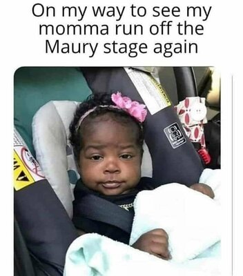 Maury.jpg