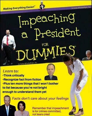 impeaching-a-president-for-dummies-nadler-schiff-aoc-think-critically-recognize-fact-from-fiction.jpg