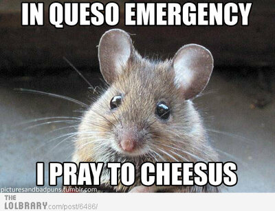 queso.jpg