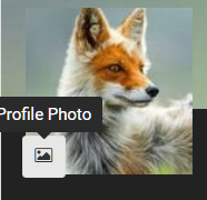 profile.png.8b4013880de5e121f9a16067fee36448.png
