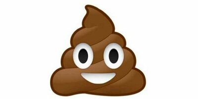 nrm_1432138418-o-poop-emoji-ice-cream-facebook.jpg