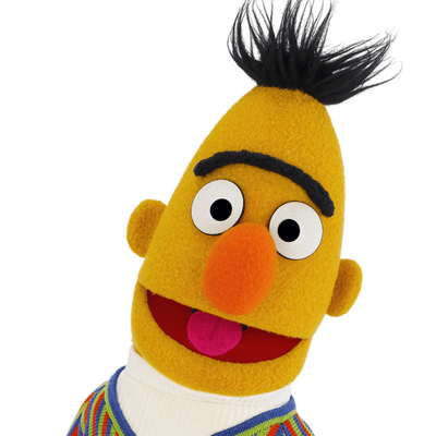 bert.png.3a3a3d2321c13d7305cb5fc8101a3009.png