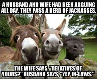 jackasses.jpg