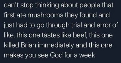 shrooms.JPG