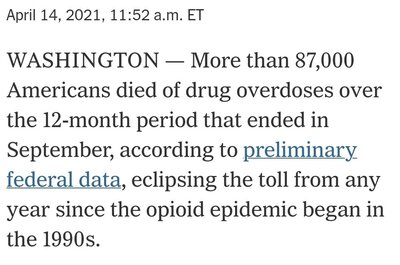 Screenshot_20210414-122445_NYTimes.jpg