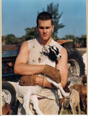 bradygoat.jpg