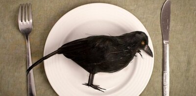 eating-crow.jpg
