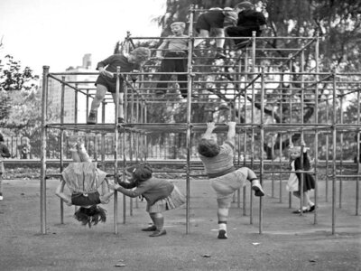 Monkey Bars.jpg