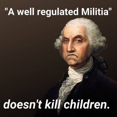 well regulated militia.jpg