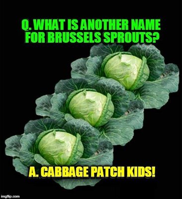 cabbage.jpg