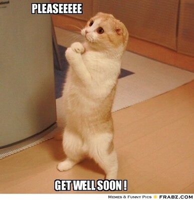 pleaseeeee-get-well-soon-meme.thumb.jpg.b67aa9fc81f571c715fd74184de30340.jpg