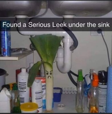 leek.jpg