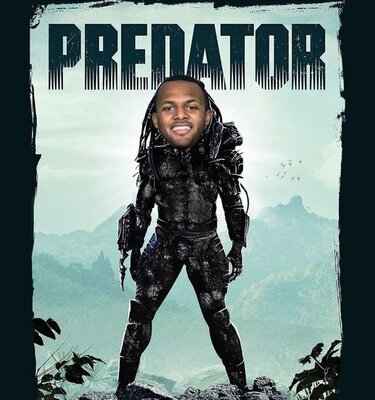 predator.jpg