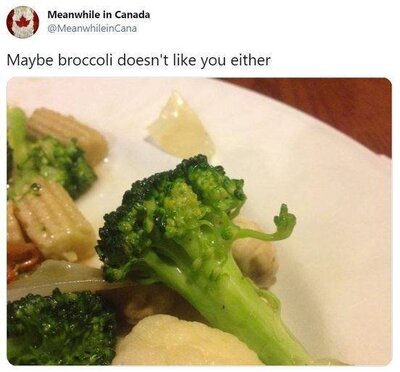 broccoli.jpg