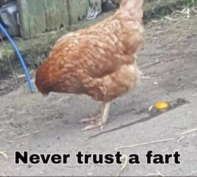 fart.jpg