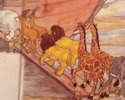 ark.JPG