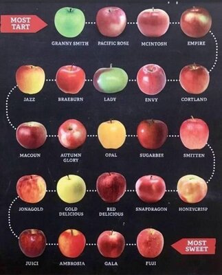 apples.jpeg