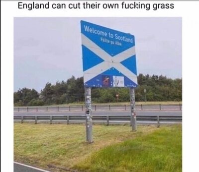 grass.jpg