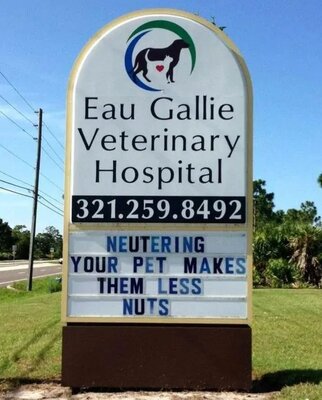 neutering.jpg