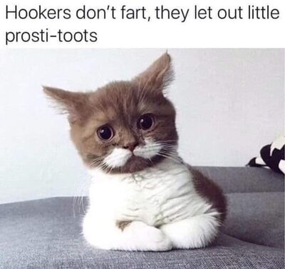 toots.jpg