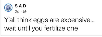 fertilize.jpg