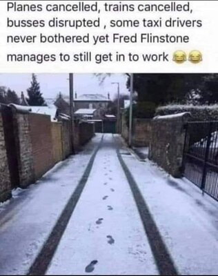 ff.thumb.jpg.e65465b0f244a9f25c67945a9e08e65e.jpg